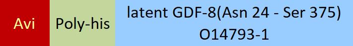 GDF-8 Structure