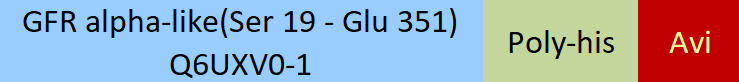 GFR alpha-like Structure