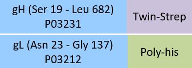 Glycoprotein H & Glycoprotein L/gH & gL (EBV) Structure