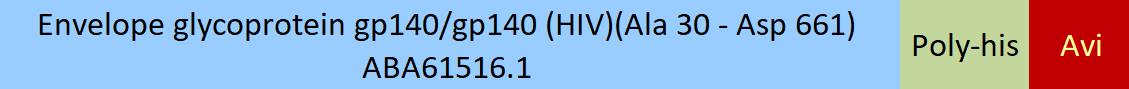 Envelope glycoprotein gp140/gp140 (HIV) Structure