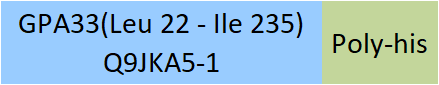 GPA33 Structure