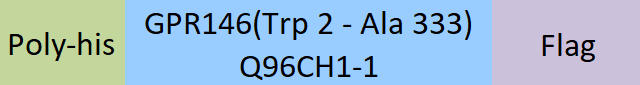 GPR146 Structure