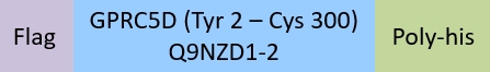 GPRC5D Structure