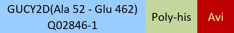 GUCY2D Structure