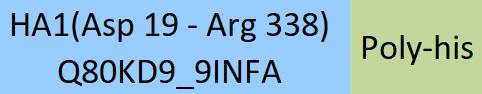 Hemagglutinin 1/HA 1 (Influenza Virus) Structure