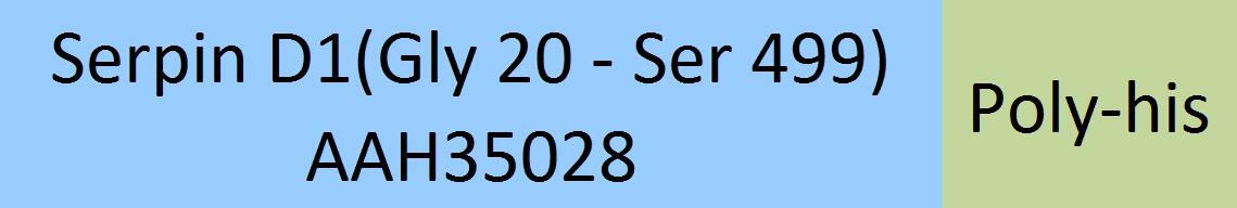 Serpin D1 Structure