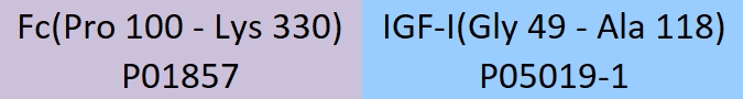 IGF-I Structure