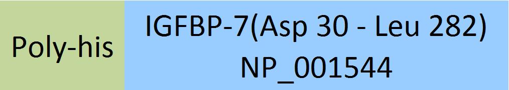 IGFBP-7 Structure