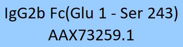 IgG2b Fc Structure