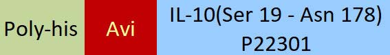 IL-10 Structure