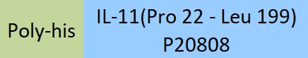 IL-11 Structure