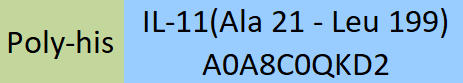 IL-11 Structure
