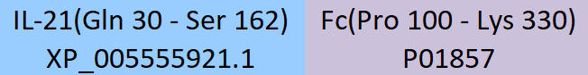 IL-21 Structure
