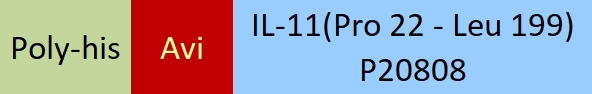 IL-11 Structure