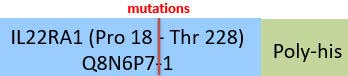 IL-22 R alpha 1 Structure
