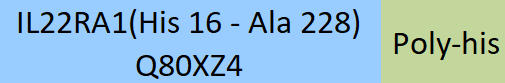 IL-22 R alpha 1 Structure