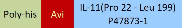 IL-11 Structure