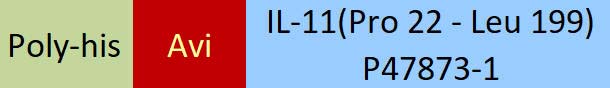 IL-11 Structure