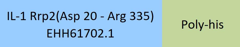 IL-1 Rrp2 Structure