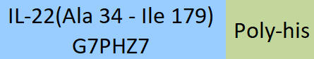 IL-22 Structure
