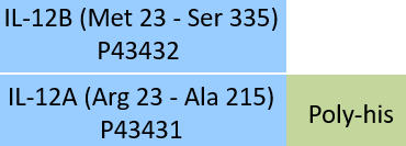 IL-12B & IL-12A Structure
