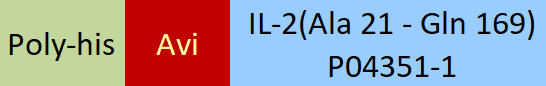 IL-2 Structure