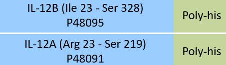 IL-12B & IL-12A Structure