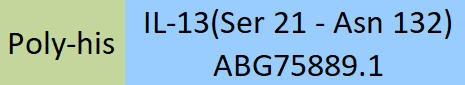 IL-13 Structure