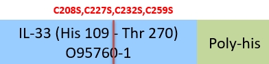 IL-33 Structure