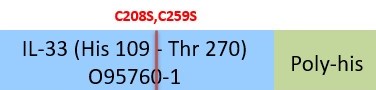 IL-33 Structure
