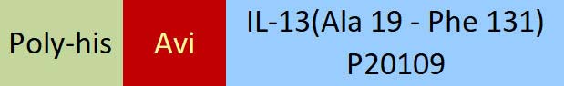 IL-13 Structure