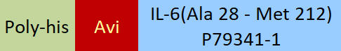 IL-6 Structure