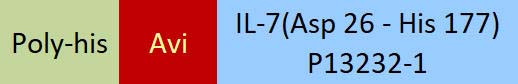 IL-7 Structure