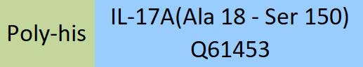 IL-17A Structure