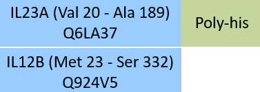 IL23A & IL12B Structure