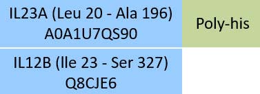 IL23A & IL12B Structure