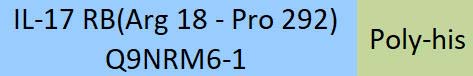 IL-17 RB Structure