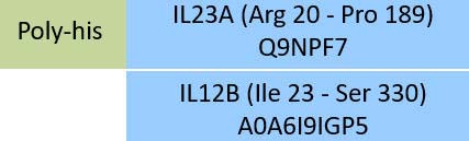 IL23A & IL12B Structure