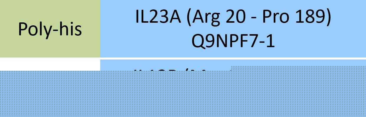 IL23A & IL12B Structure