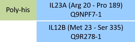 IL23A & IL12B Structure