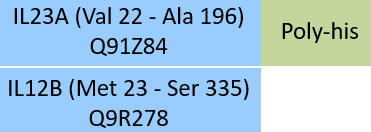 IL23A & IL12B Structure