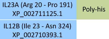IL23A & IL12B Structure