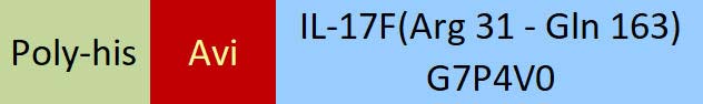 IL-17F Structure