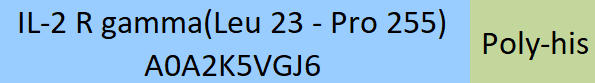 IL-2 R gamma Structure