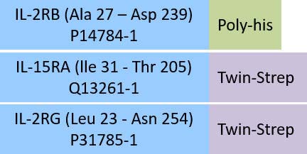 IL-2 R beta & IL-15 R alpha & IL-2 R gamma Structure