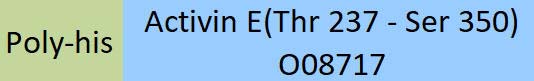 Activin E Structure