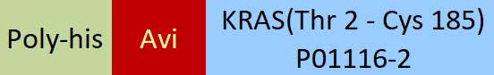 KRAS Structure