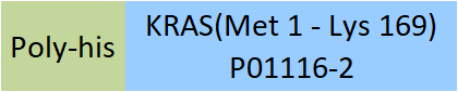 KRAS Structure