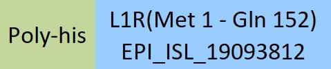 L1R (MPXV) Structure