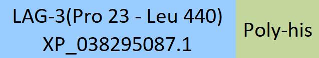 LAG-3 Structure